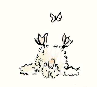 illustration from the empty nest book of a duck on its back looking at a butterfly